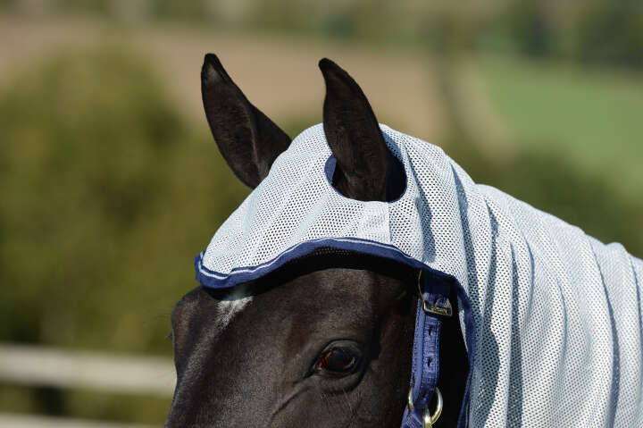 bucas Fliegendecke Buzz-Off X